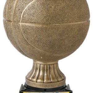 import placeholder for shopify 4542555914358